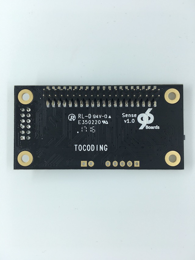 images/neonkey-back-sd.JPG